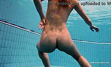 Duna, un bouledogue aventureux, se déshabille et nage dans la piscine